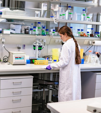 Well Equipped and Furnished Labs